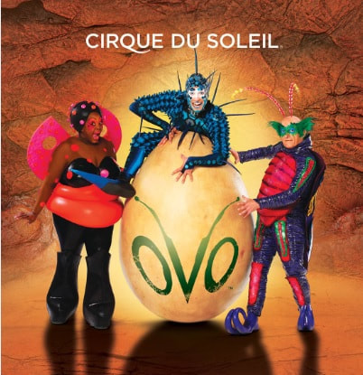 Three performers dressed as bugs pose by a large yellow egg with the OVO logo painted on it. Photo Credit: Cirque du Soleil